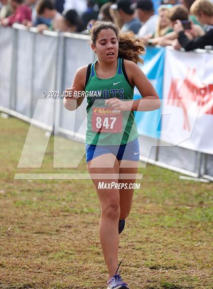 Thumbnail 3 in CIF Central Section Cross Country Championships (Girls D3 Race) photogallery.