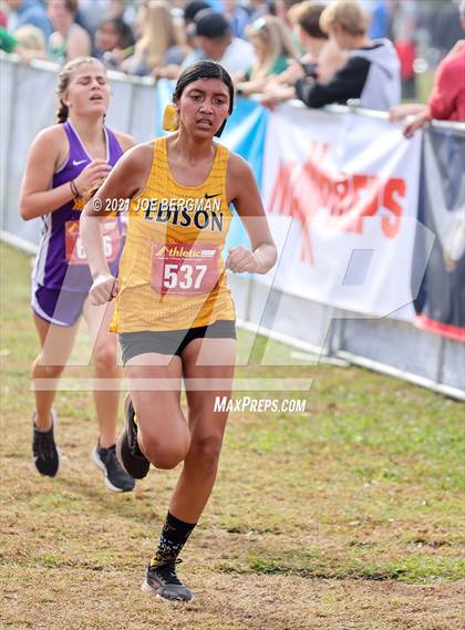 Thumbnail 3 in CIF Central Section Cross Country Championships (Girls D3 Race) photogallery.