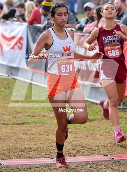 Thumbnail 2 in CIF Central Section Cross Country Championships (Girls D3 Race) photogallery.