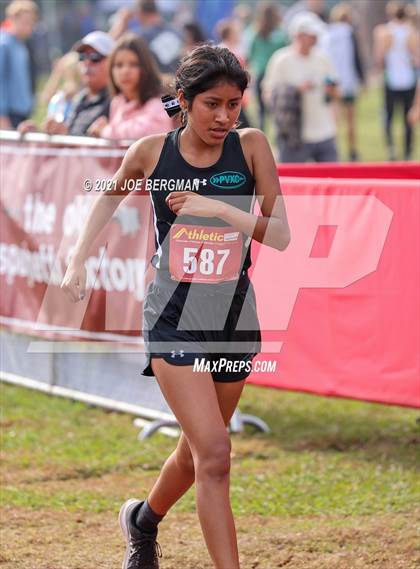 Thumbnail 3 in CIF Central Section Cross Country Championships (Girls D3 Race) photogallery.