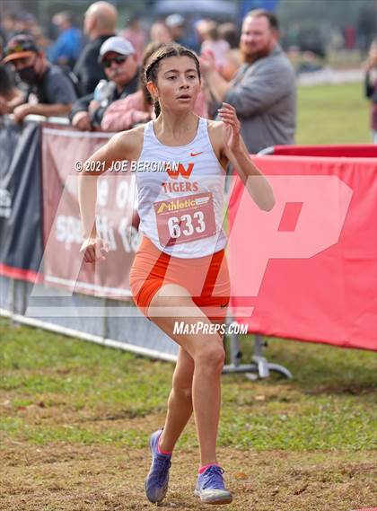 Thumbnail 1 in CIF Central Section Cross Country Championships (Girls D3 Race) photogallery.