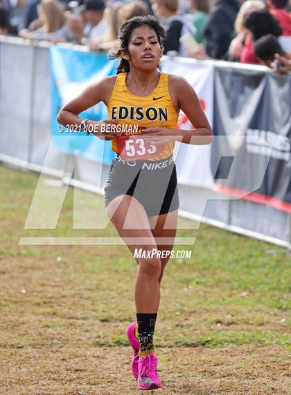 Thumbnail 3 in CIF Central Section Cross Country Championships (Girls D3 Race) photogallery.