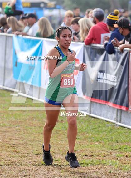 Thumbnail 3 in CIF Central Section Cross Country Championships (Girls D3 Race) photogallery.