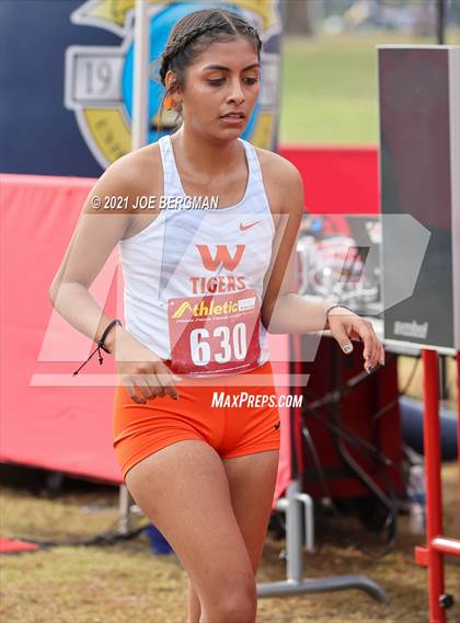 Thumbnail 1 in CIF Central Section Cross Country Championships (Girls D3 Race) photogallery.