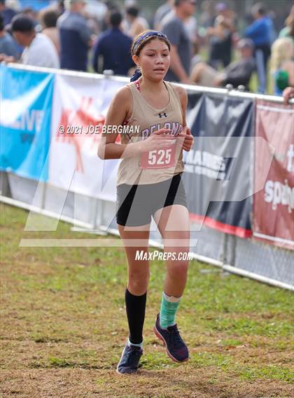 Thumbnail 3 in CIF Central Section Cross Country Championships (Girls D3 Race) photogallery.