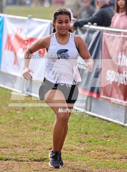 Thumbnail 3 in CIF Central Section Cross Country Championships (Girls D3 Race) photogallery.