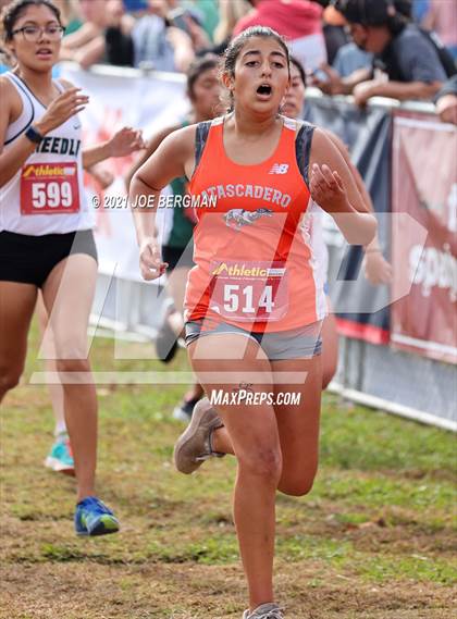 Thumbnail 3 in CIF Central Section Cross Country Championships (Girls D3 Race) photogallery.