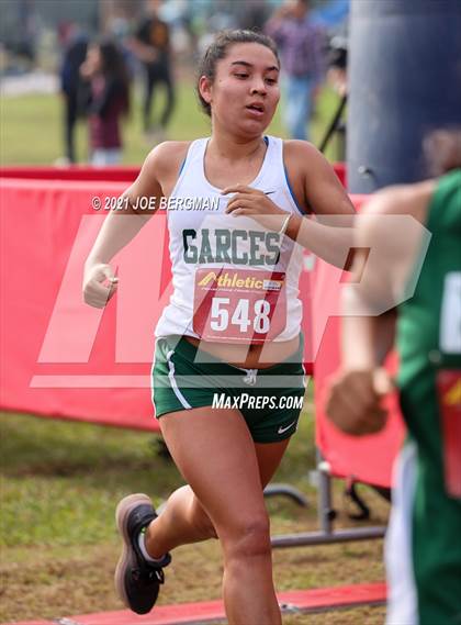 Thumbnail 1 in CIF Central Section Cross Country Championships (Girls D3 Race) photogallery.