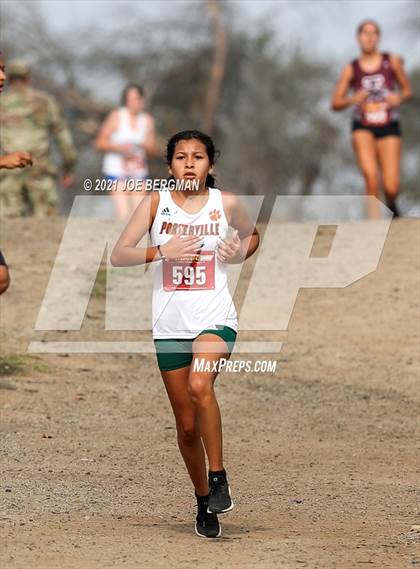 Thumbnail 3 in CIF Central Section Cross Country Championships (Girls D3 Race) photogallery.