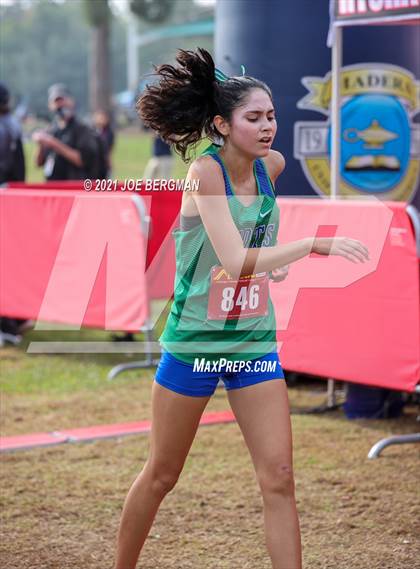 Thumbnail 2 in CIF Central Section Cross Country Championships (Girls D3 Race) photogallery.