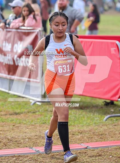 Thumbnail 3 in CIF Central Section Cross Country Championships (Girls D3 Race) photogallery.
