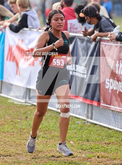 Thumbnail 1 in CIF Central Section Cross Country Championships (Girls D3 Race) photogallery.