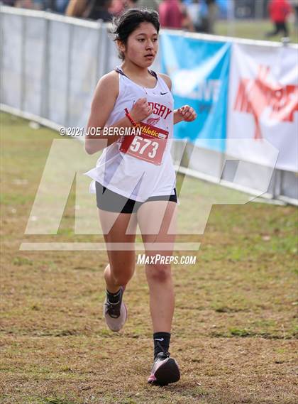 Thumbnail 1 in CIF Central Section Cross Country Championships (Girls D3 Race) photogallery.