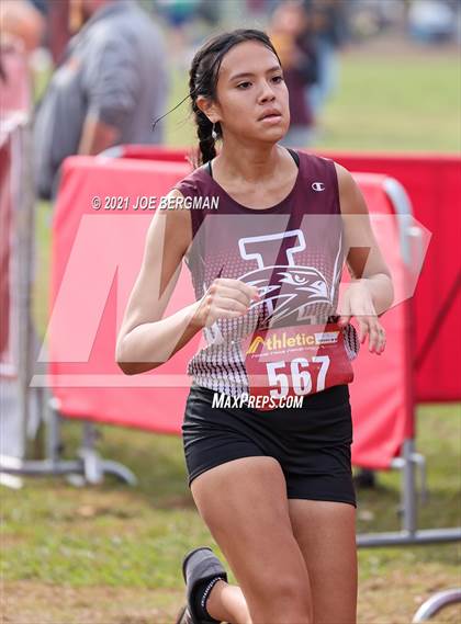Thumbnail 3 in CIF Central Section Cross Country Championships (Girls D3 Race) photogallery.