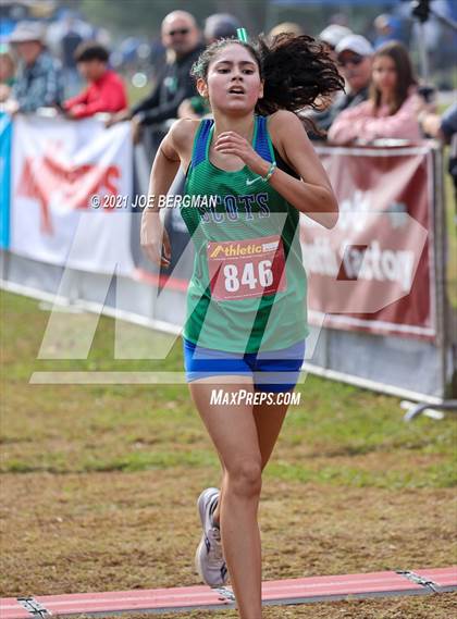 Thumbnail 1 in CIF Central Section Cross Country Championships (Girls D3 Race) photogallery.