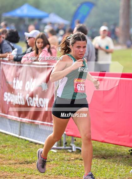 Thumbnail 2 in CIF Central Section Cross Country Championships (Girls D3 Race) photogallery.