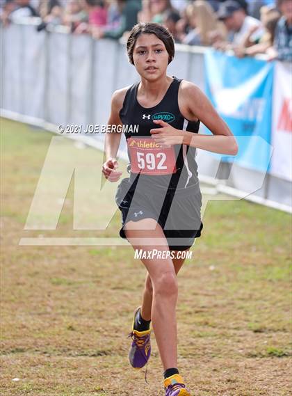 Thumbnail 3 in CIF Central Section Cross Country Championships (Girls D3 Race) photogallery.