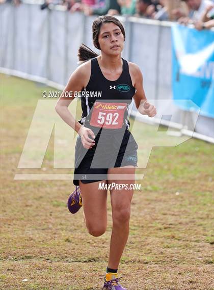 Thumbnail 2 in CIF Central Section Cross Country Championships (Girls D3 Race) photogallery.