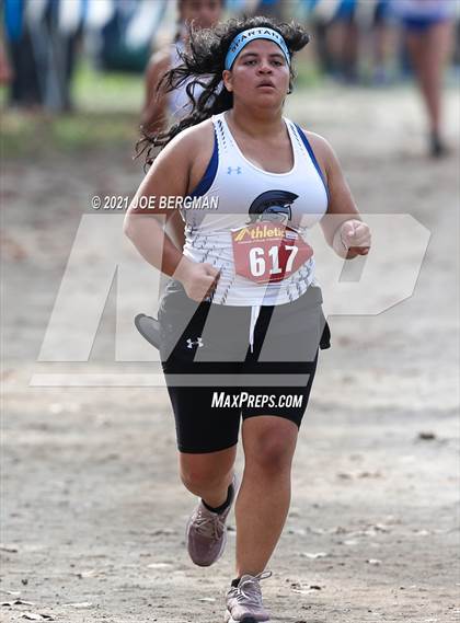 Thumbnail 3 in CIF Central Section Cross Country Championships (Girls D3 Race) photogallery.