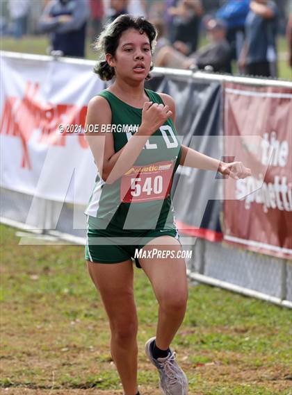 Thumbnail 1 in CIF Central Section Cross Country Championships (Girls D3 Race) photogallery.