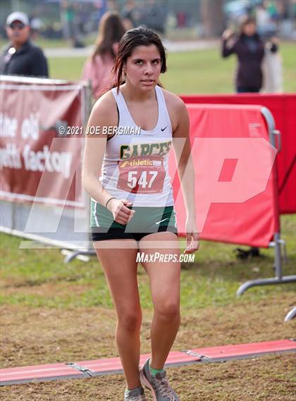 Thumbnail 2 in CIF Central Section Cross Country Championships (Girls D3 Race) photogallery.