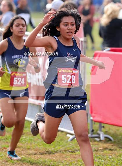 Thumbnail 2 in CIF Central Section Cross Country Championships (Girls D3 Race) photogallery.