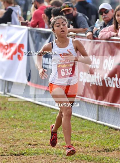 Thumbnail 2 in CIF Central Section Cross Country Championships (Girls D3 Race) photogallery.