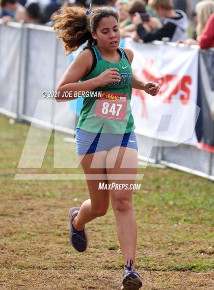 Thumbnail 1 in CIF Central Section Cross Country Championships (Girls D3 Race) photogallery.