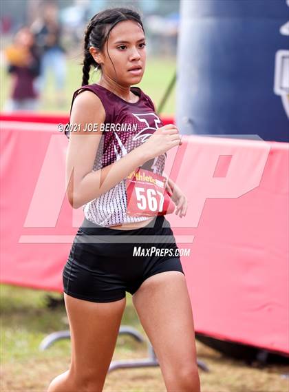 Thumbnail 1 in CIF Central Section Cross Country Championships (Girls D3 Race) photogallery.