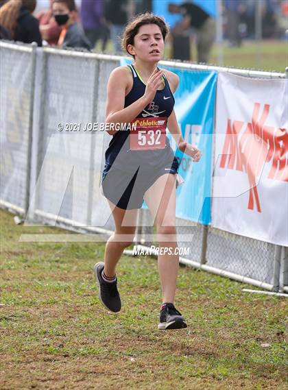 Thumbnail 2 in CIF Central Section Cross Country Championships (Girls D3 Race) photogallery.
