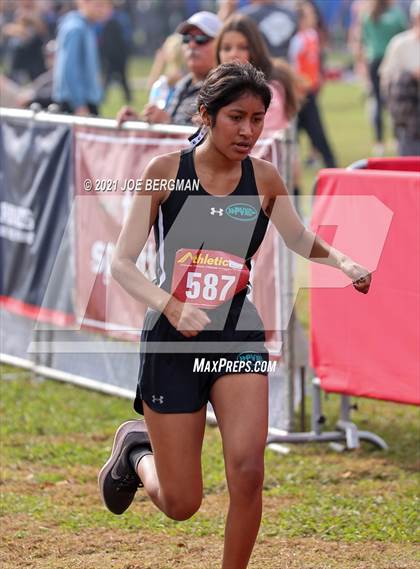 Thumbnail 2 in CIF Central Section Cross Country Championships (Girls D3 Race) photogallery.