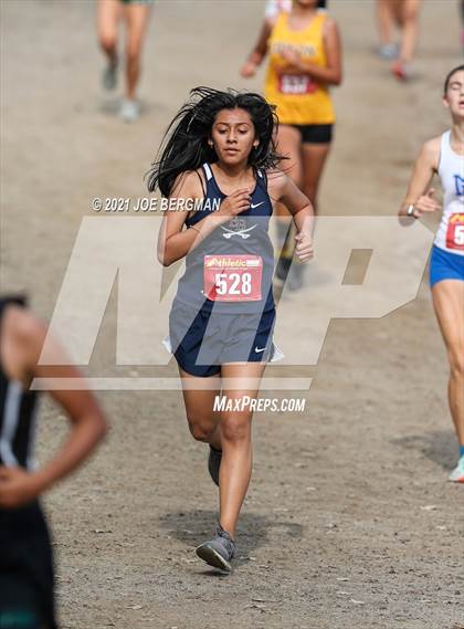 Thumbnail 1 in CIF Central Section Cross Country Championships (Girls D3 Race) photogallery.