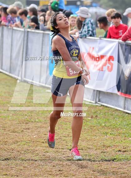 Thumbnail 3 in CIF Central Section Cross Country Championships (Girls D3 Race) photogallery.