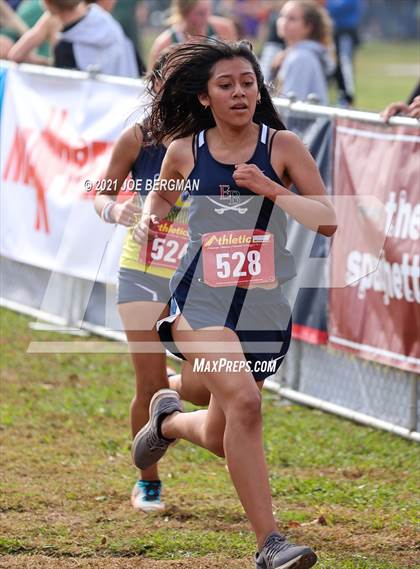 Thumbnail 1 in CIF Central Section Cross Country Championships (Girls D3 Race) photogallery.