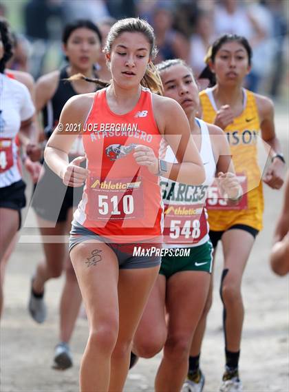 Thumbnail 3 in CIF Central Section Cross Country Championships (Girls D3 Race) photogallery.