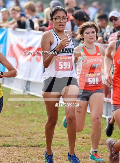 Thumbnail 1 in CIF Central Section Cross Country Championships (Girls D3 Race) photogallery.