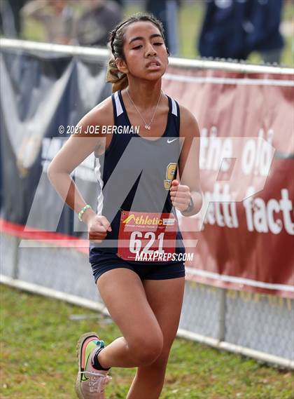 Thumbnail 2 in CIF Central Section Cross Country Championships (Girls D3 Race) photogallery.