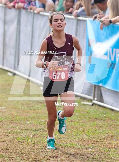 Thumbnail 3 in CIF Central Section Cross Country Championships (Girls D3 Race) photogallery.