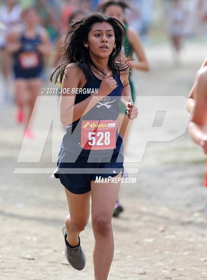 Thumbnail 2 in CIF Central Section Cross Country Championships (Girls D3 Race) photogallery.