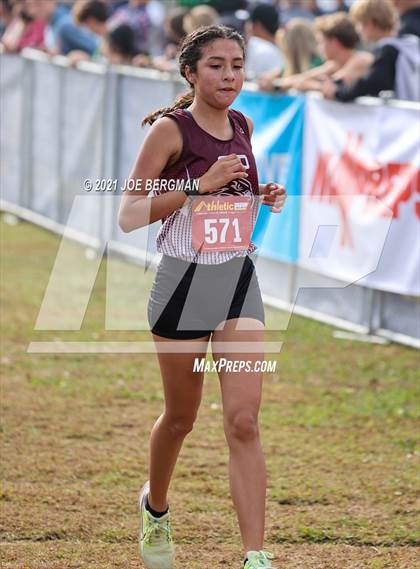Thumbnail 1 in CIF Central Section Cross Country Championships (Girls D3 Race) photogallery.