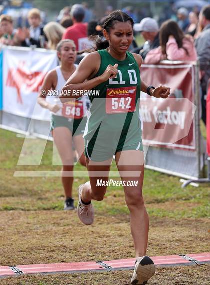 Thumbnail 3 in CIF Central Section Cross Country Championships (Girls D3 Race) photogallery.