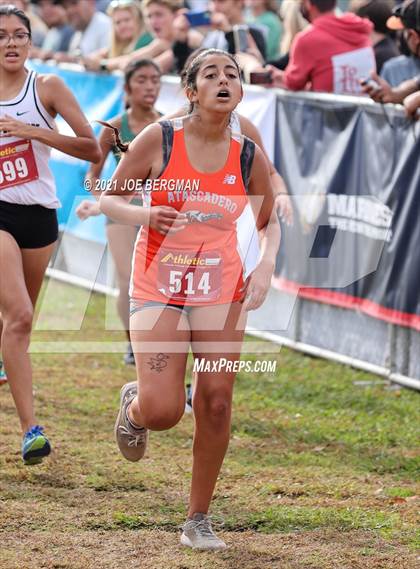 Thumbnail 2 in CIF Central Section Cross Country Championships (Girls D3 Race) photogallery.