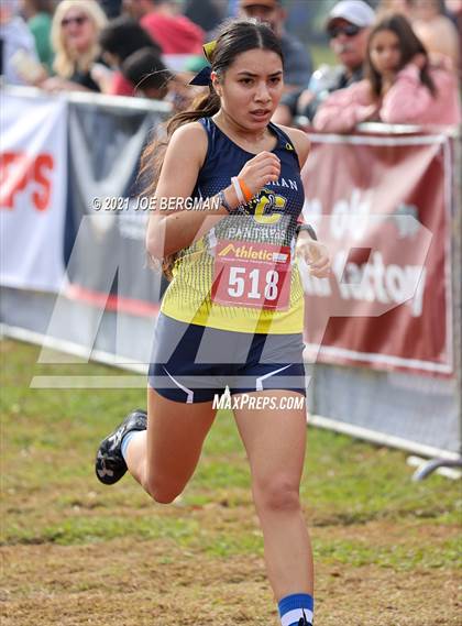 Thumbnail 1 in CIF Central Section Cross Country Championships (Girls D3 Race) photogallery.