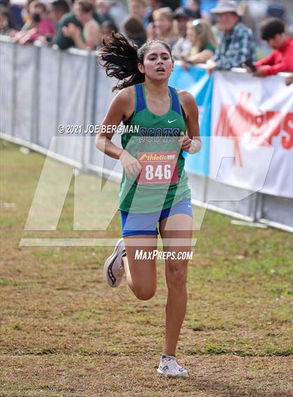 Thumbnail 3 in CIF Central Section Cross Country Championships (Girls D3 Race) photogallery.