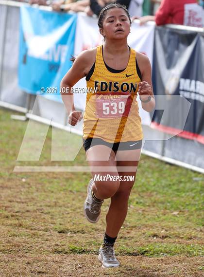 Thumbnail 3 in CIF Central Section Cross Country Championships (Girls D3 Race) photogallery.