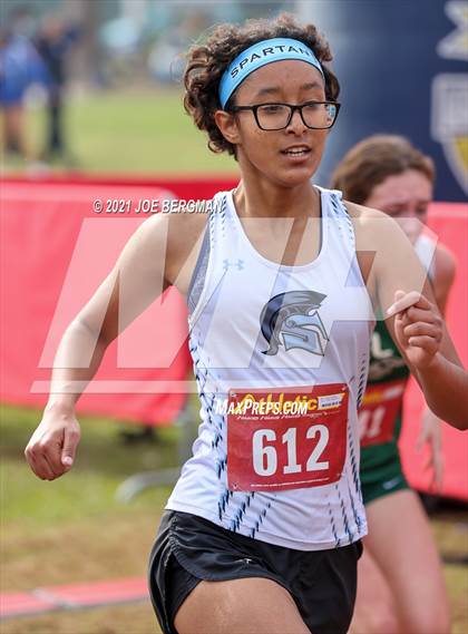 Thumbnail 3 in CIF Central Section Cross Country Championships (Girls D3 Race) photogallery.