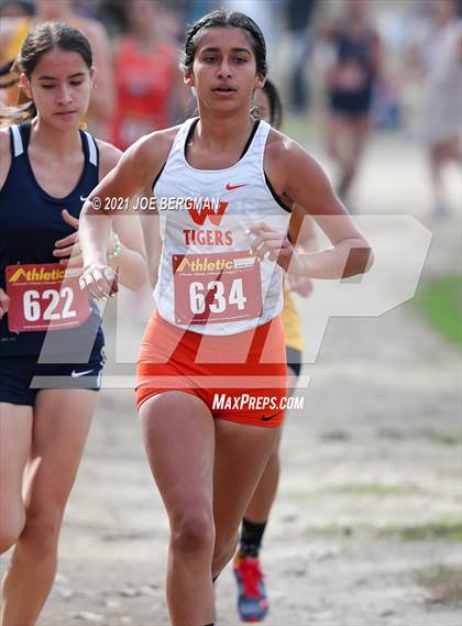 Thumbnail 1 in CIF Central Section Cross Country Championships (Girls D3 Race) photogallery.