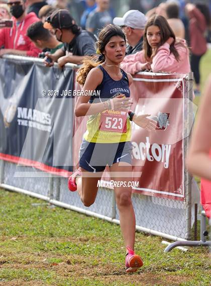 Thumbnail 2 in CIF Central Section Cross Country Championships (Girls D3 Race) photogallery.