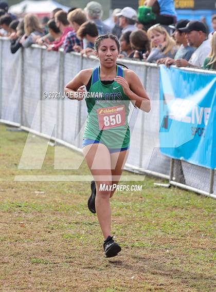 Thumbnail 2 in CIF Central Section Cross Country Championships (Girls D3 Race) photogallery.