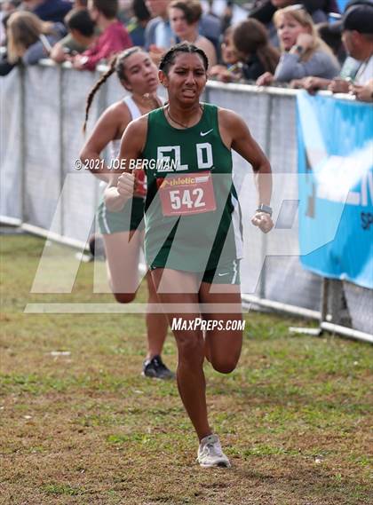 Thumbnail 2 in CIF Central Section Cross Country Championships (Girls D3 Race) photogallery.